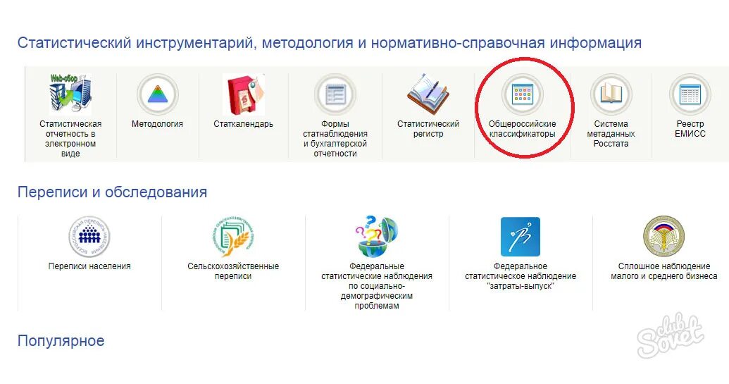 Https webstat rosstat gov ru. Статистический инструментарий это. Федеральный сайт статистики. Методолог нормативно-справочной информации это.