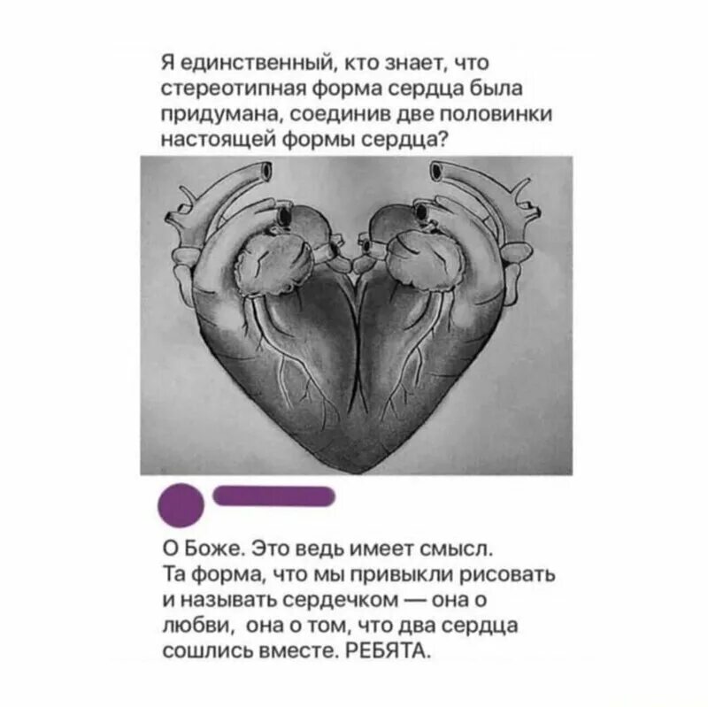 Сердечный именно. Два человеческих сердца. Почему сердечко такой формы. Почему у сердца такая форма.