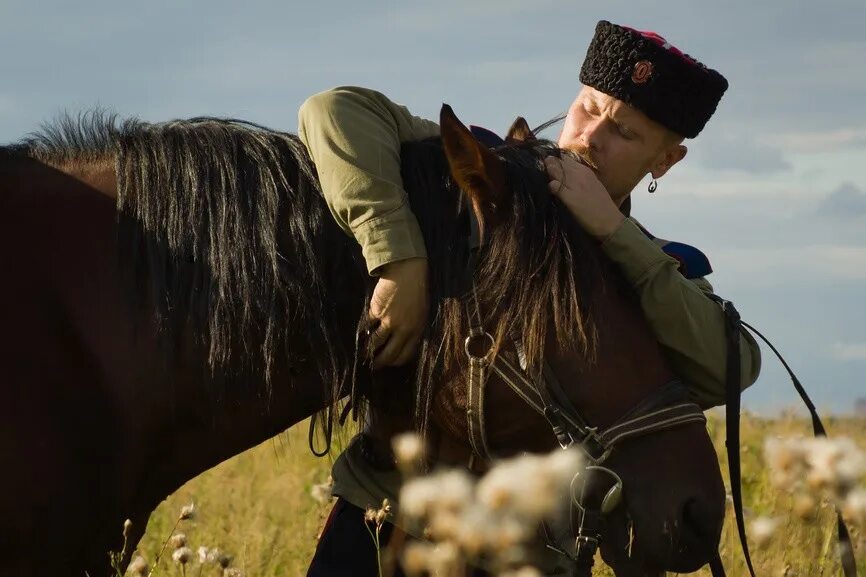 Казачья песня ветер. Донской казак на коне в степи. Казак на коне. Казаки на конях. Казак на коне в поле.