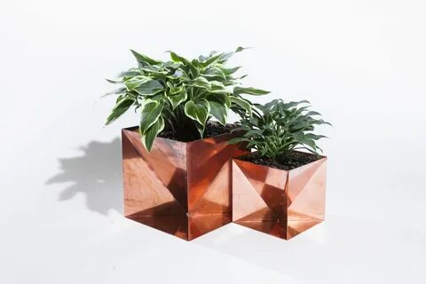 Sticker planter