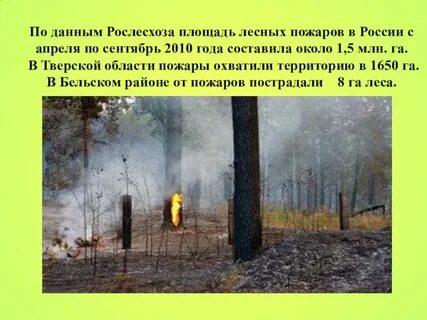 Информация о лесных пожарах