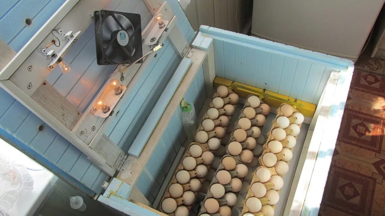 Самодельный инкубатор для яиц. Инкубатор с охлаждением т250r radobio. Инкубатор на 100 гусиных яиц. Инкубатор Эггер. Инкубатор Ziss-55.