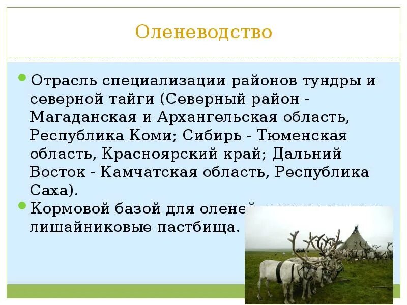 Отрасли специализации Республики Коми. Отрасль сельского хозяйства оленеводство. Сельское хозяйство Красноярского края презентация. Сельское хозяйство Коми. Оленеводство сообщение