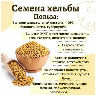 Пажитник для похудения отзывы