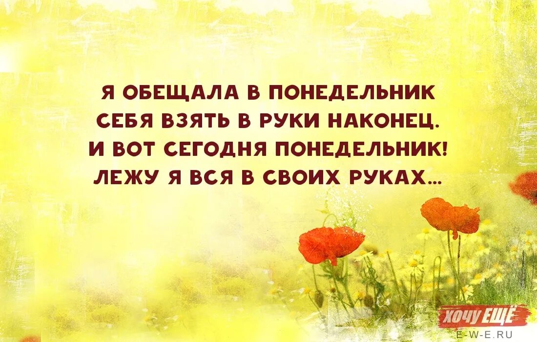 Новая жизнь прикол. Цитаты про понедельник. Высказывания про понедельник. Афоризмы про понедельник. Высказывания опонеделнике.