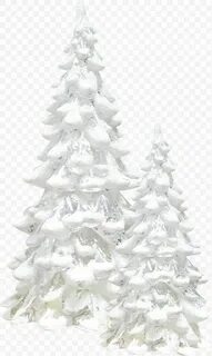 Белые елки лес