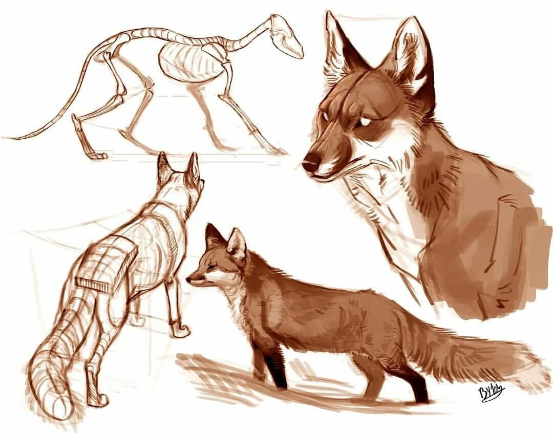 Дисней мультяшки леди и бродяга. Диснеевский герой семейства псовых 5. Бэмби герои мультика. Леди и бродяга 2 балто. Диснеевский герой семейства псовых 5.