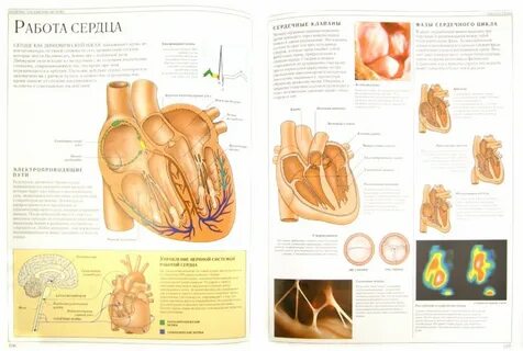 Справочник стр