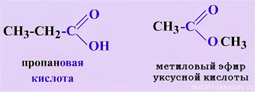 Структурные изомеры карбоновых кислот. Межклассовая изомерия пропановой кислоты. Межклассовая изомерия кислот. Формула пропановой кислоты кислоты. Метиловый эфир бутановой кислоты