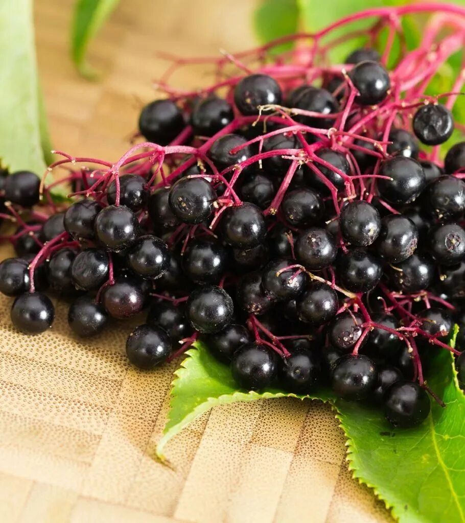 Зелено черная ягода. Elderberry Бузина. Калинка ягода черная. Фиолетовые ягоды. Темно фиолетовая ягода.