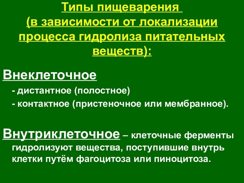 Гидролиз в пищеварении. Пищеварение в зависимости от локализации. Типы пищеварения в зависимости от локализации. Внутриклеточное пищеварение физиология. Перечислить типы пищеварения в зависимости от локализации гидролиза..