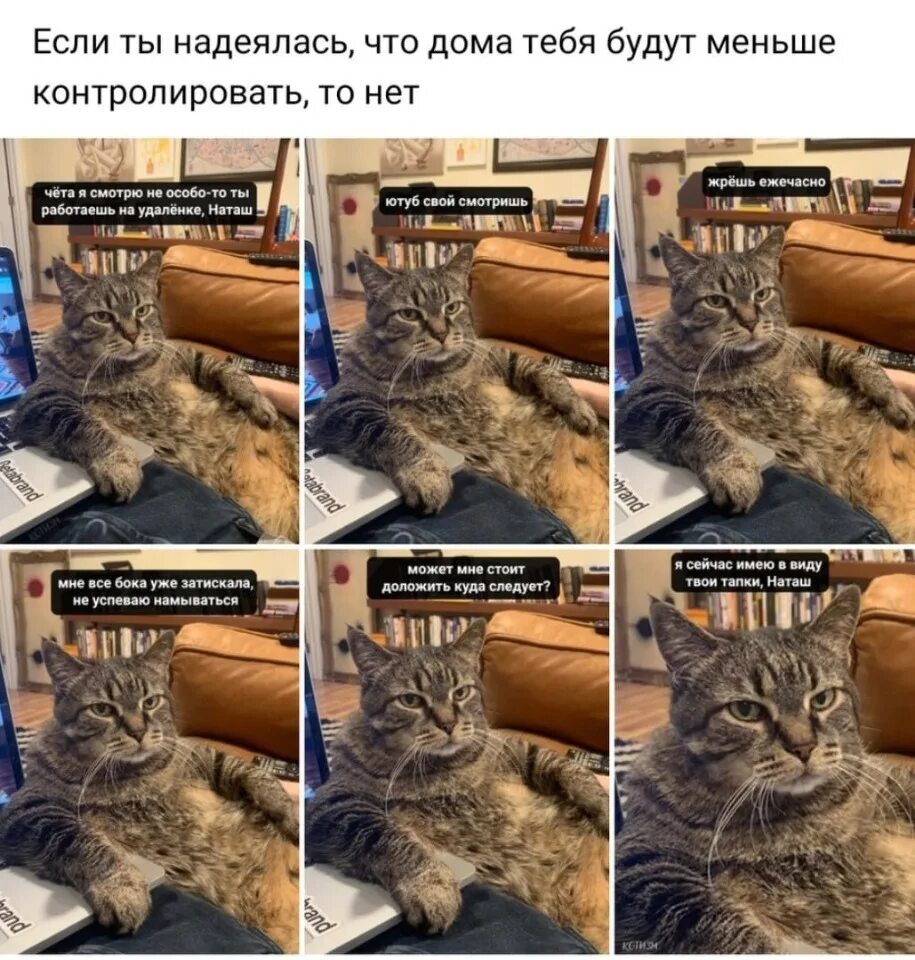 Что значит большое сработало