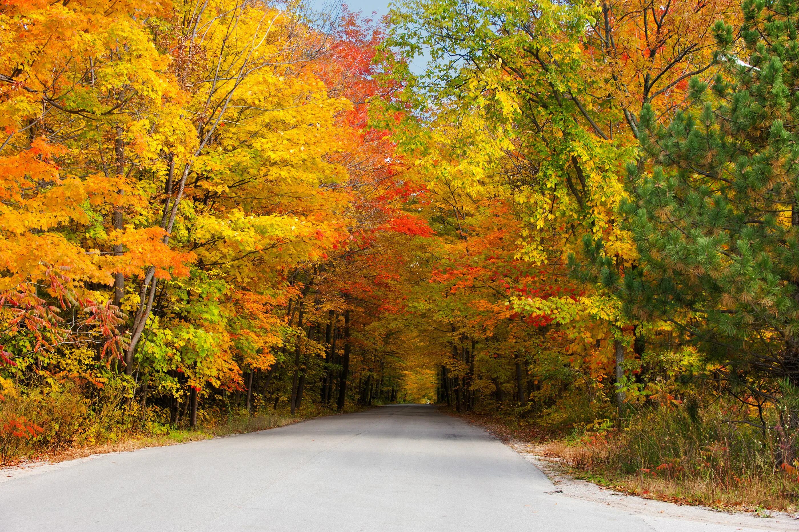 During the fall. Autumn Gray. Картинки США листва Woodstock, Vermont осень. Autumn trip.