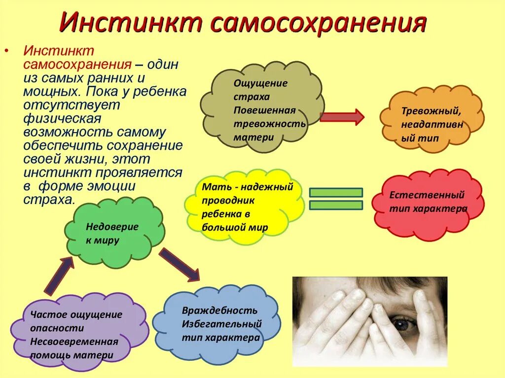 Чувственного работа. Инстинкт самосохранения. Инстинкт самосохранения у человека. Инстинкт самосохранения примеры. Примеры инстинктов у человека.