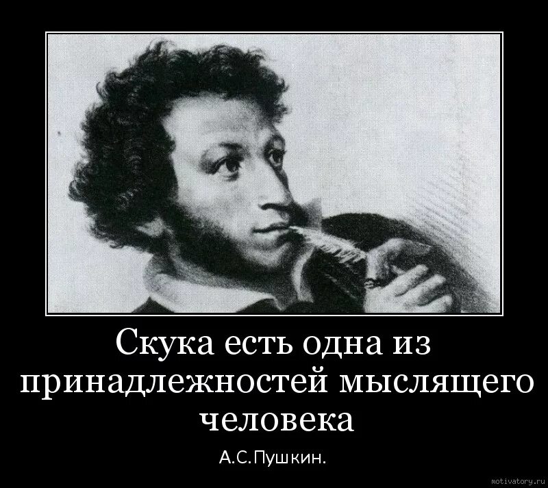 Пушкин демотиваторы. Поэт демотиватор. Демотиваторы про писателей. Демотиваторы про Пушкина.