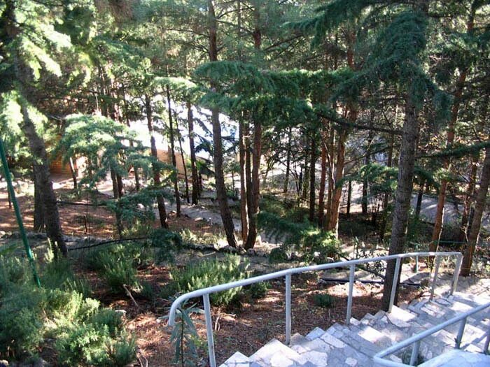 Пансионат морской бриз ялта. Пансионат морской бриз ялта. Морской бриз гурзуф. Морской бриз гурзуф сайт. Гурзуф крым пансионат морской бриз.