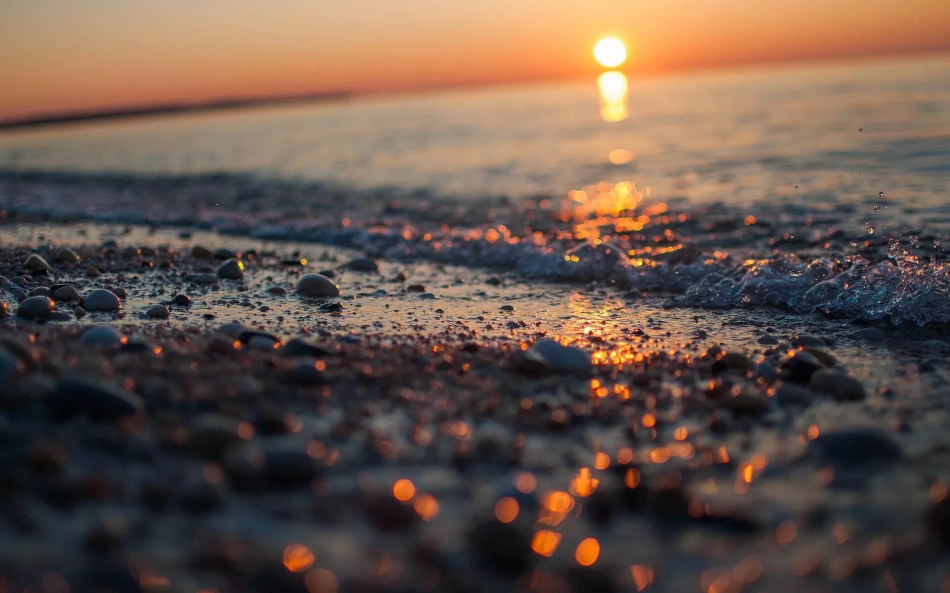 Beach full