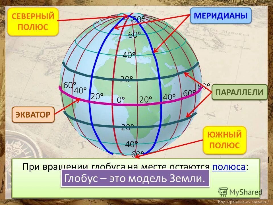 55 с ш 42 в д. Экватор Северный и Южный полюс. Меридиан параллель полюс Экватор на глобусе. Параллели и меридианы. Меридианы на глобусе.