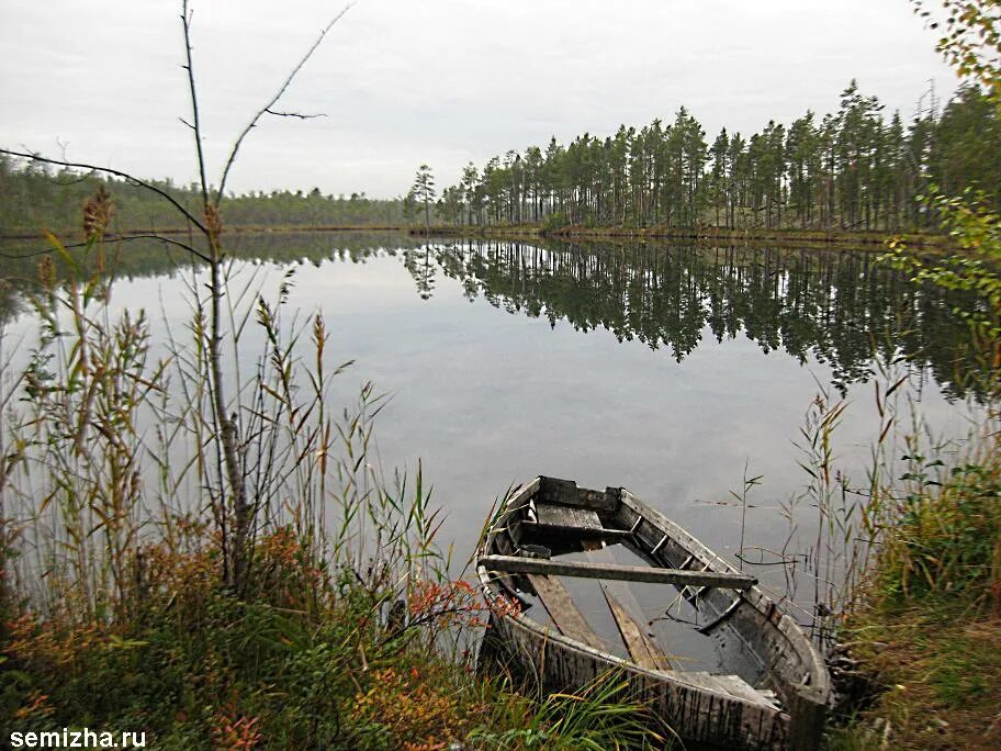 Погода в ледмозере форека. Поселок Ледмозеро. П Ледмозеро Карелия. Нижнее Энинъярви. Озеро нижнее Энинъярви.