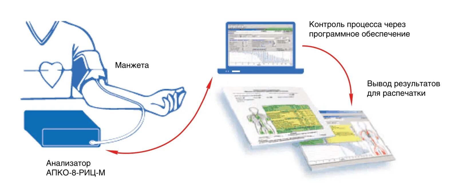 8 риц. 8 риц. Апко-8-риц-м. Анализатор параметров кровообращения осциллометрический апко-8-риц-м. Риц ульяновск личный кабинет.