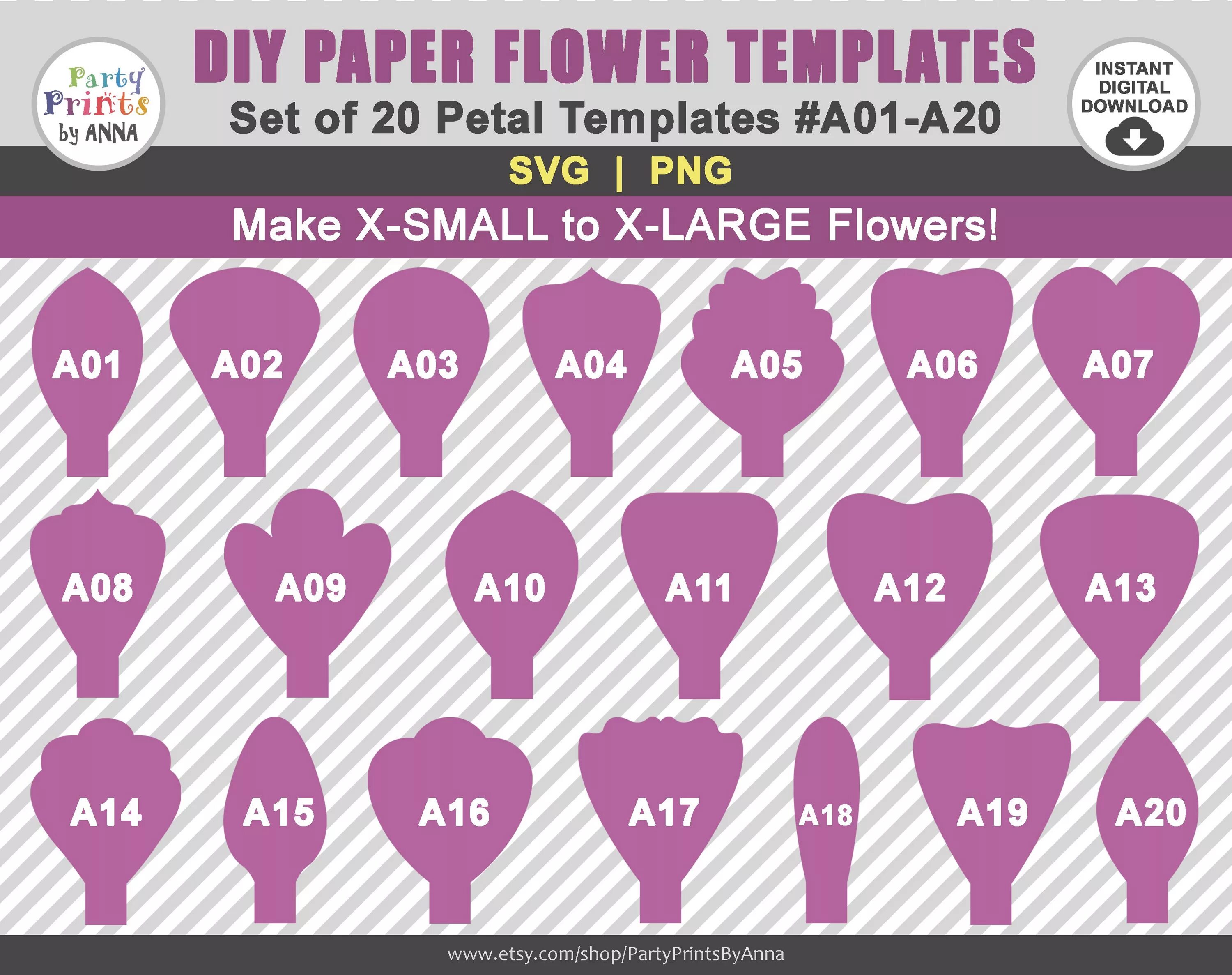 Set template. Set template