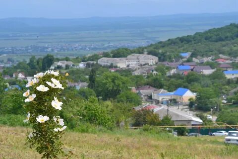 Погода вестник анапский
