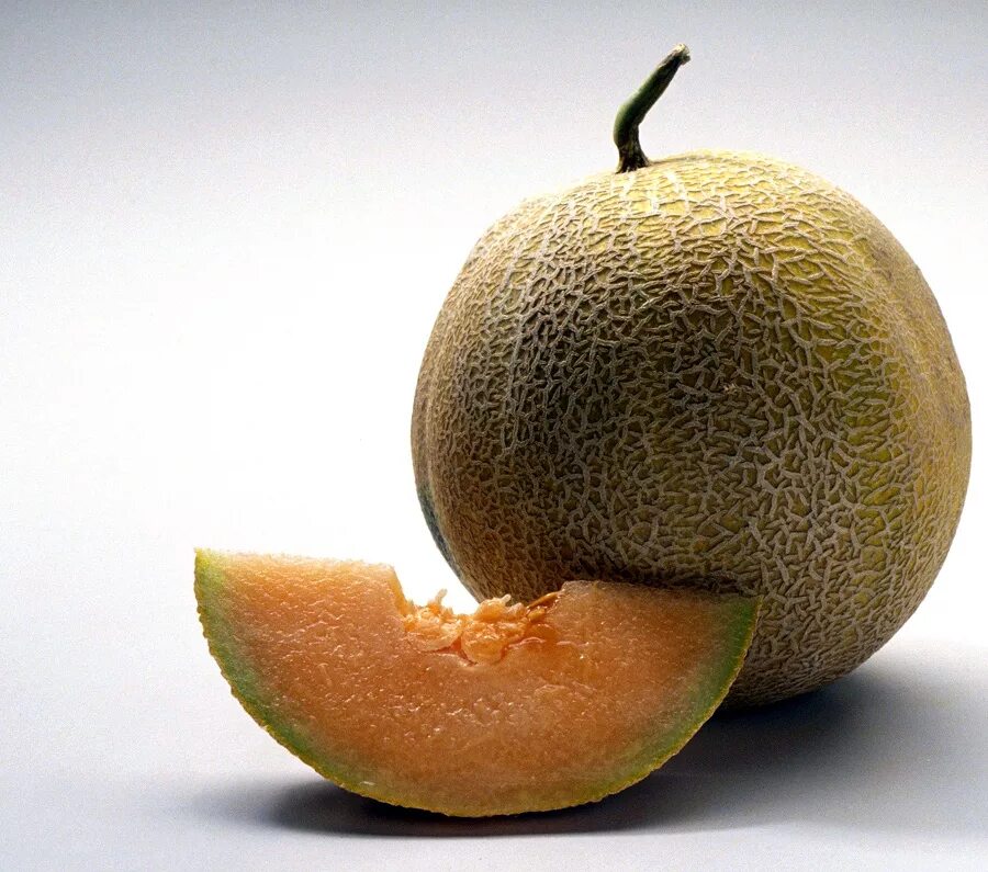 Ава дыня. Дыня honeydew. дыня боло. дыня медовая роса. дыня с хвостиком.