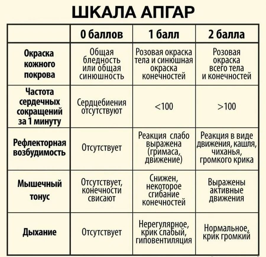Роды 6 букв