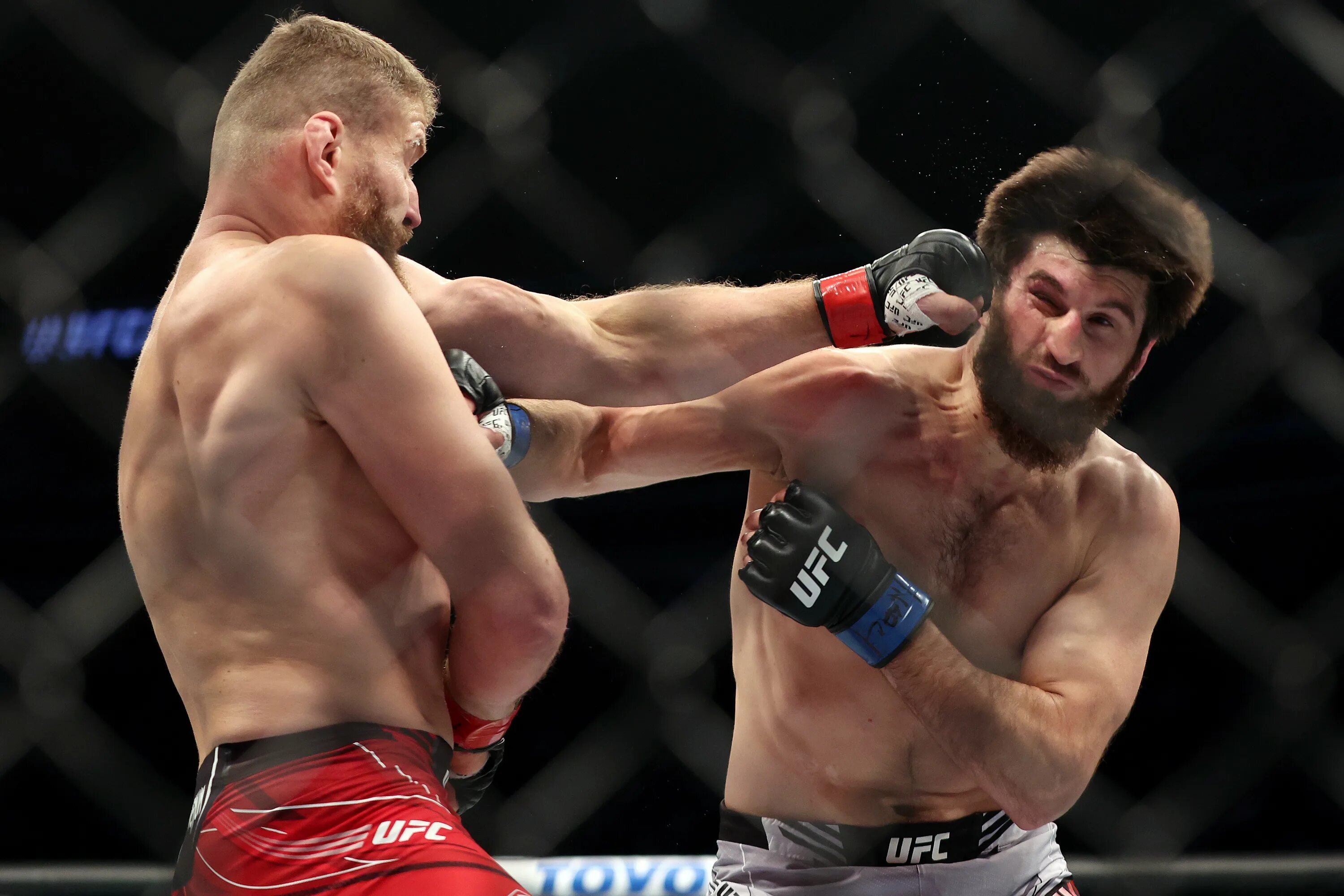 Абус магомедов юфс. Абусупьян магомедов ufc. Абусупьян магомедов бой в юфс. Бой магомеда магомедова. Бой магомеда магомедова.