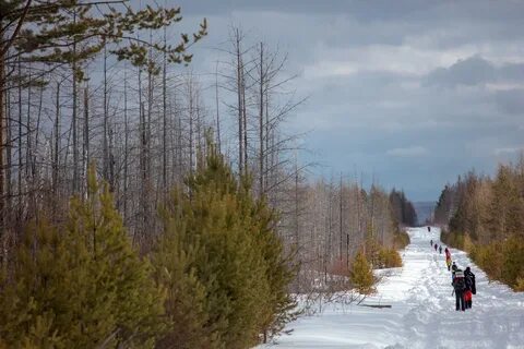 Вижай свердловская