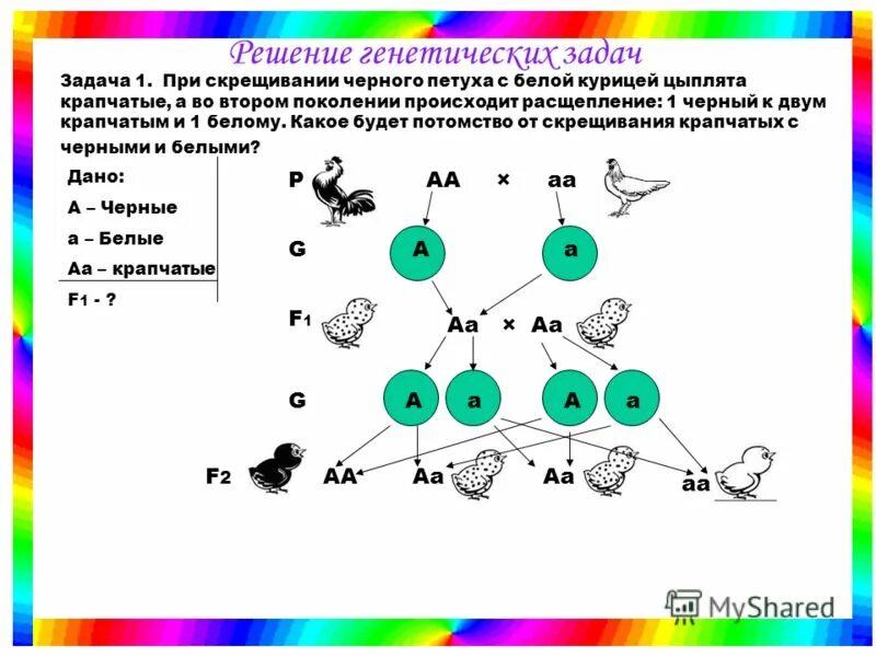 Егэ биология задания. Задачи на генетику 9 класс биология. Как решать генетические задачи. Решить задание по биологии. Решить задание по биологии.