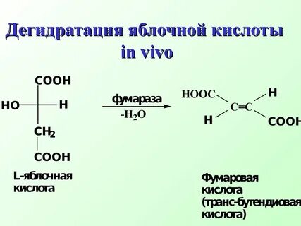 Состав яблочной кислоты
