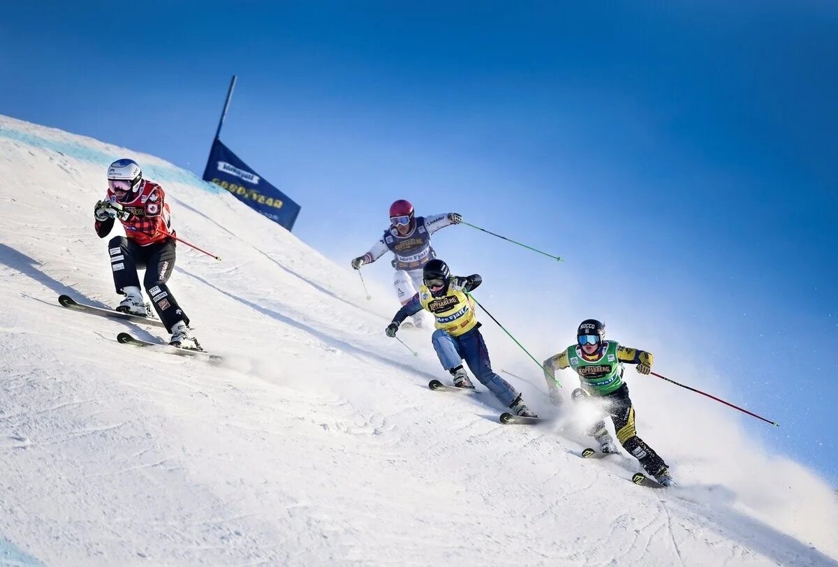 Горный лыжник. Гриша про лыжи. Горнолыжник слалом. Ski carving. Ски виде.