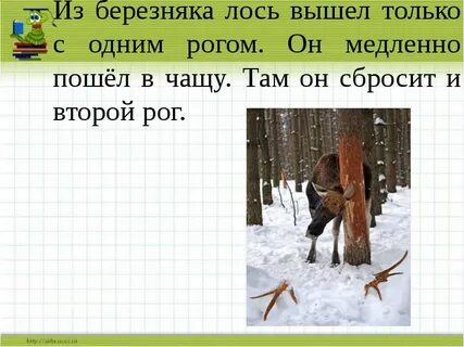 3 класс изложение лось презентация
