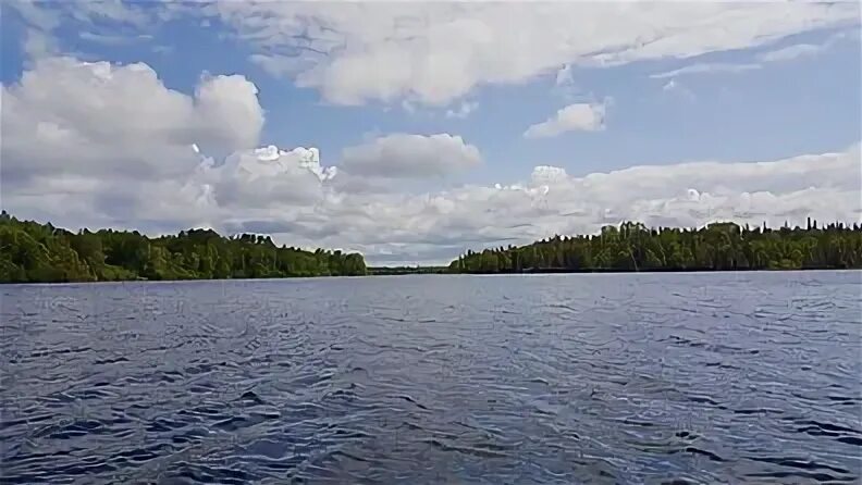 Озеро бурное ленинградская область рыбалка. Озеро треугольное ленинградская. Озеро бурное ленинградская область. Озеро бурное. Озеро вуокса ленинградская.