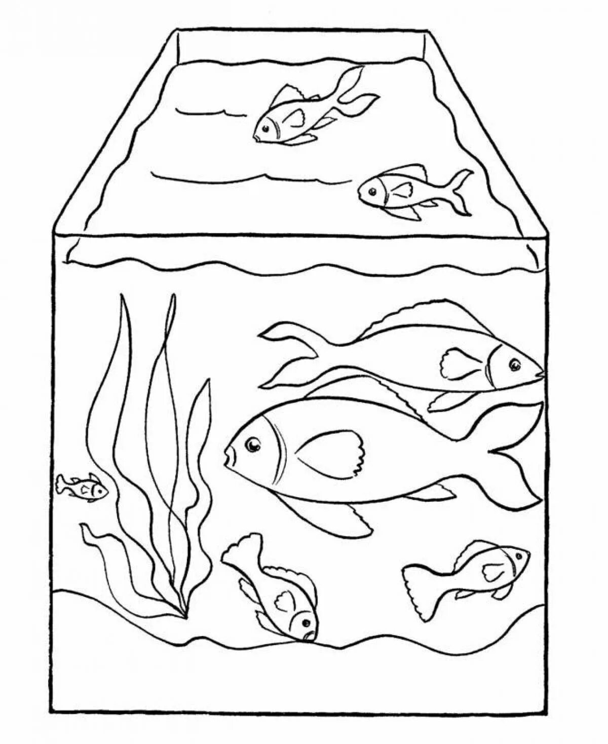 Раскраска аквариум с рыбками. Аквариум раскраска для детей. Аквариум с рыбками раскраска для малышей. Аквариумные рыбки раскраска.