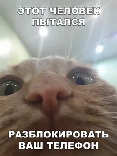 Этого на ваш телефон будет