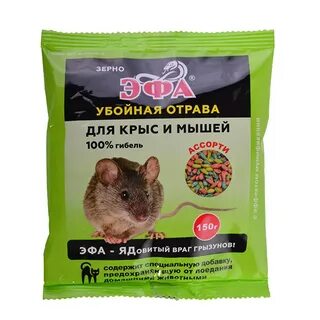 Зерновая 20