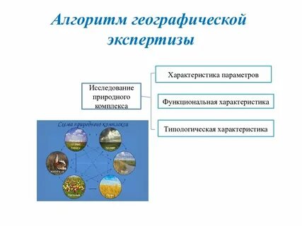 С какой целью проводится географическая экспертиза