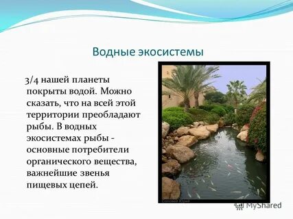 Водные экосистемы