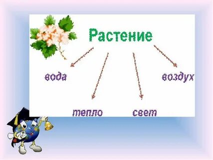 Презентация окружающий мир 1 класс школа животные
