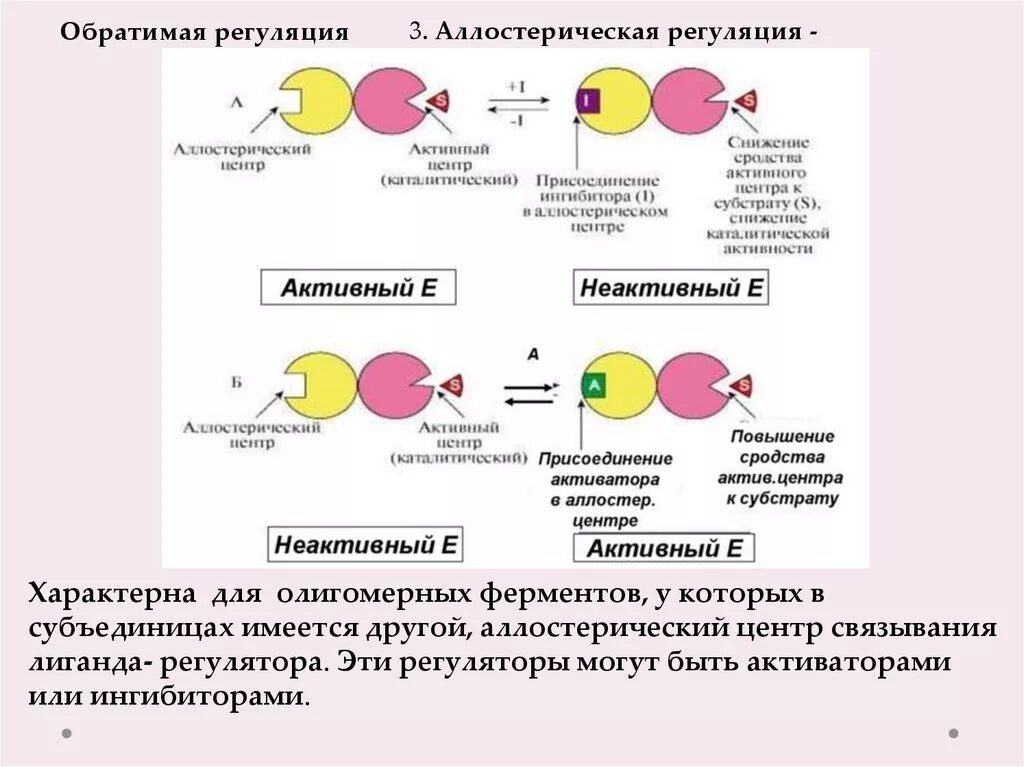 Регуляция активности ферментов схемы. Механизмы регуляции активности ферментов. Регуляция ферментативной активности биохимия. Схема активный и аллостерический центры ферментов. Аллостерический активатор