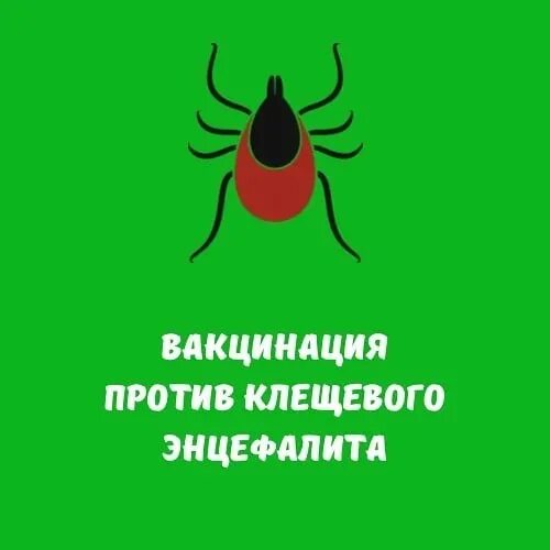 Вакцина клещ эвак. Вакцинация против клещевого энцефалита. Буклет вакцинация от клещевого энц. Схема вакцинации от клещевого энцефалита. Клещ-э-ВАК.