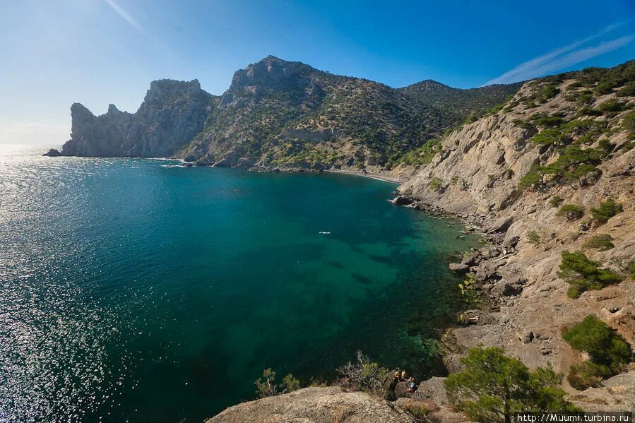 что дал новый свет