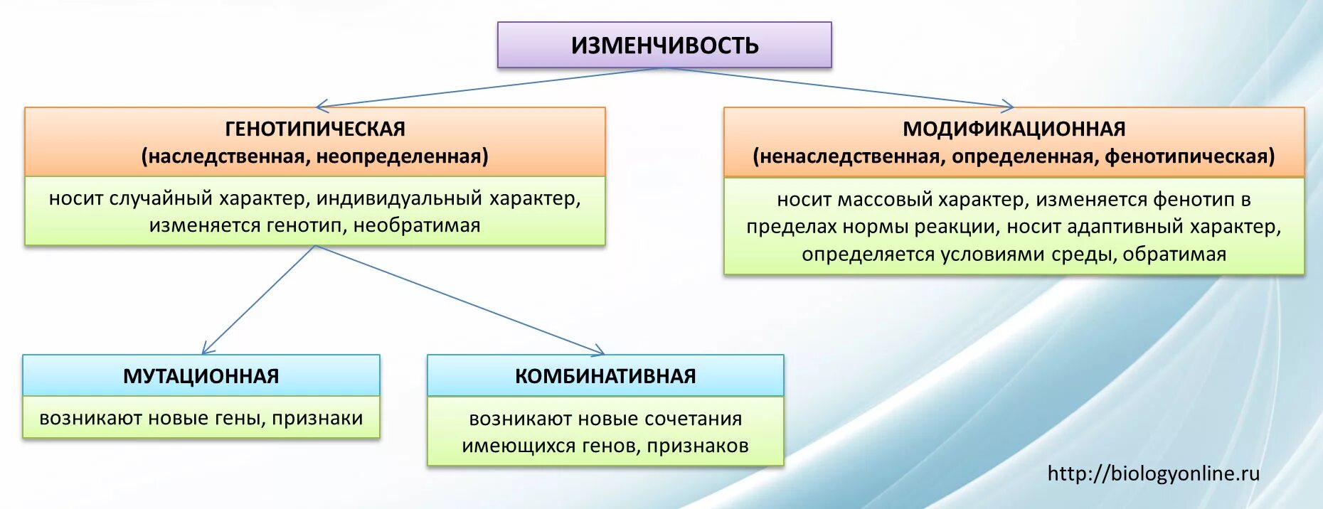 Информация о наследственных признаках