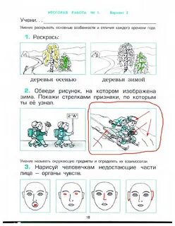 Задание по естествознанию