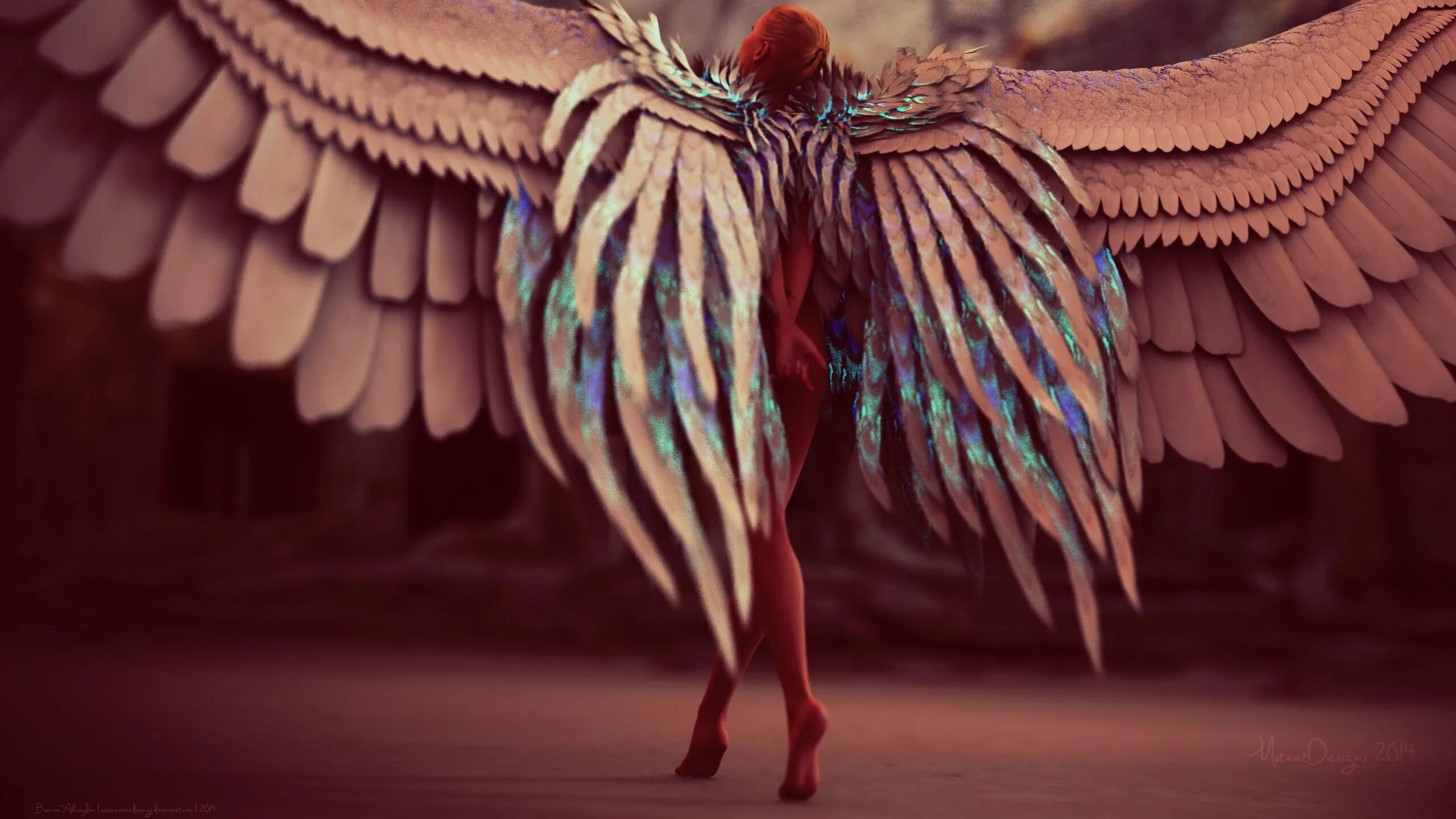 Could it wings