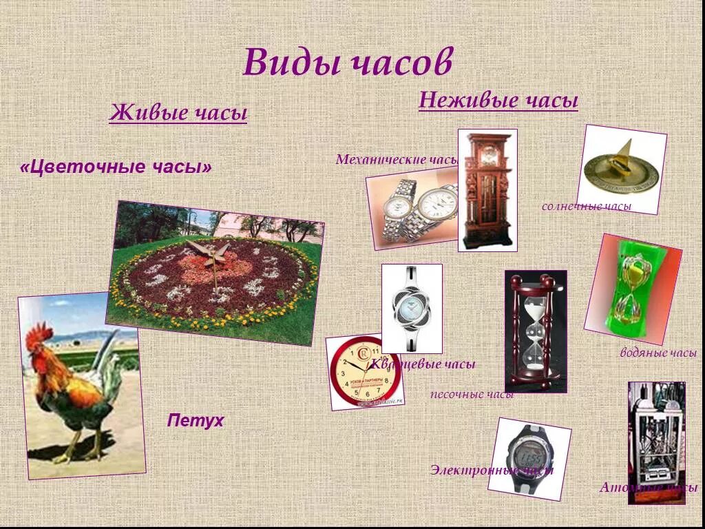 Иллюстрации с изображением разных видов часов. Виды часочасов для детей. Виды часов картинки. Виды часов для детей. Часы для презентации.