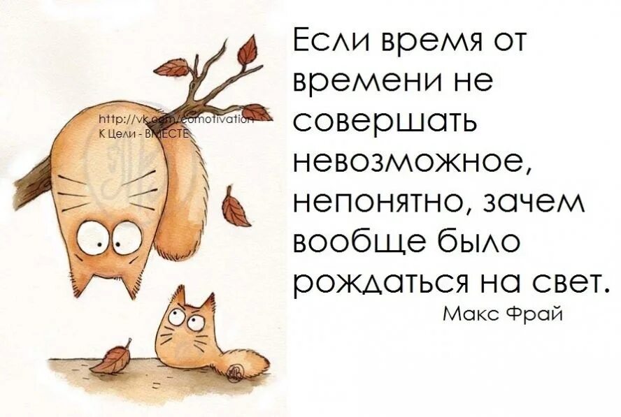 Человек должен верить что непонятное. Не ждем чудес чудим сами. Смешные фразы про чудо. Выражения про чудо смешные. Про чудеса цитаты смешные.