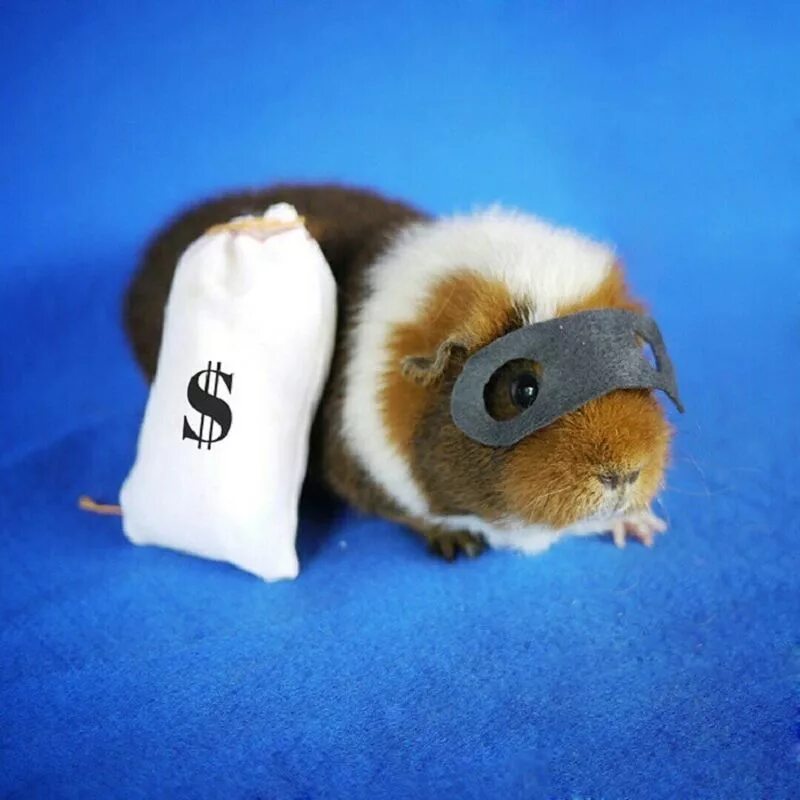Как открыть short squeeze в хомяке